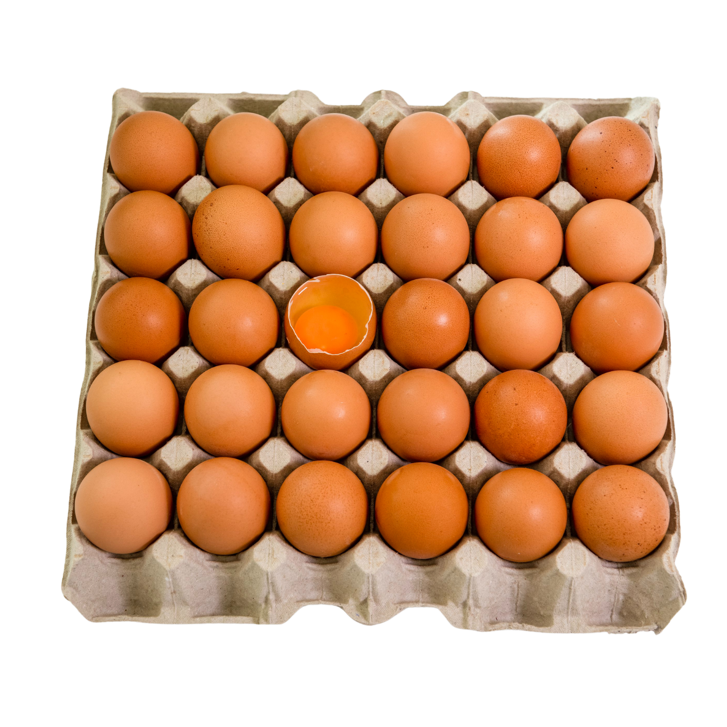 Freerange | The Egg Store