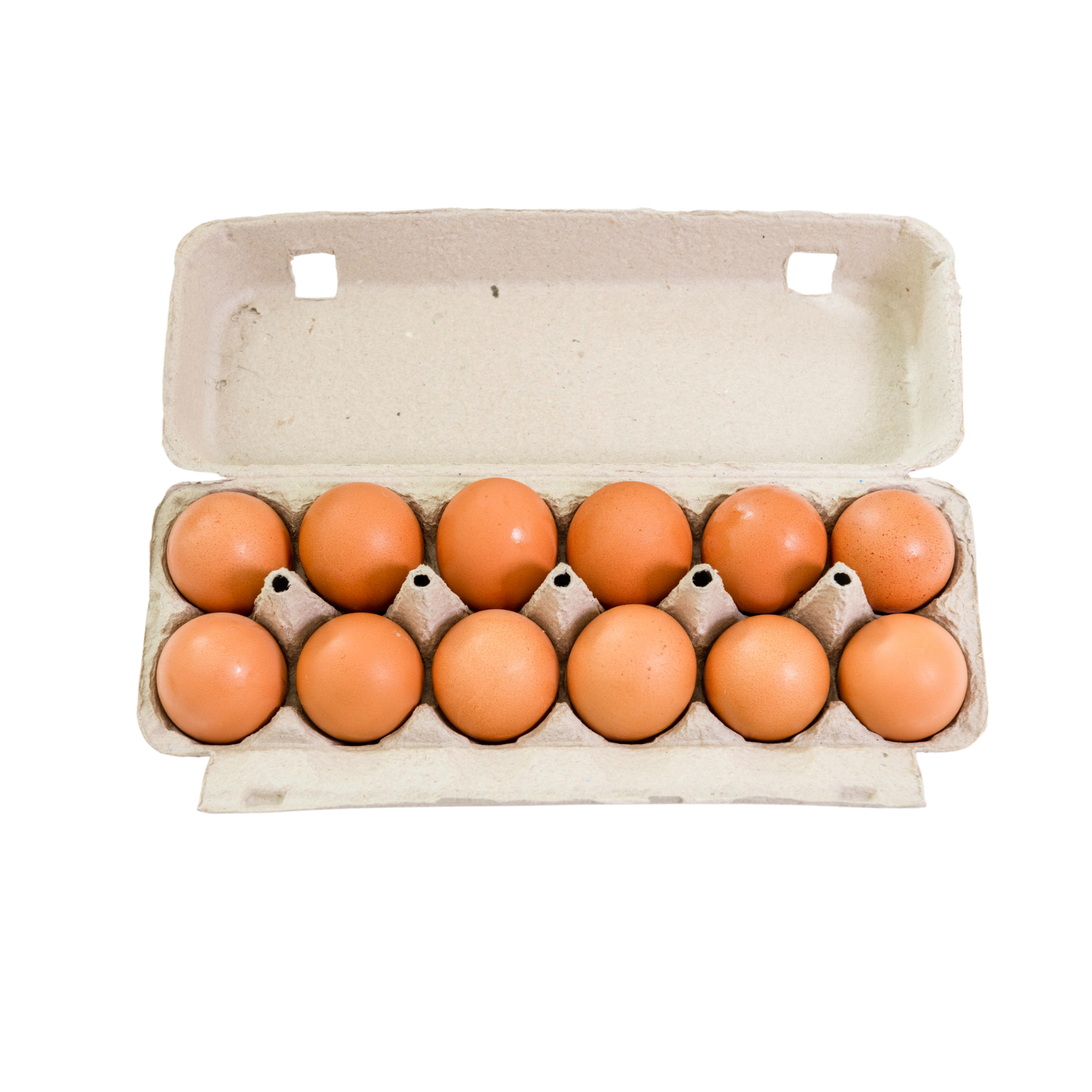 egeg＊shop Freerange | The Egg Store